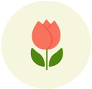 boshu